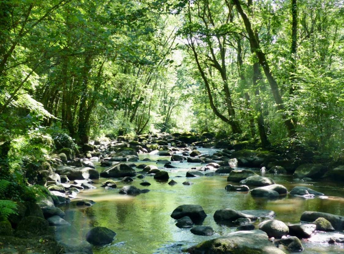 Chambre D Hotes Le 23 Segrie-Fontaine ภายนอก รูปภาพ
